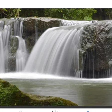 Le Bacette ベッド・アンド・ブレックファスト 4*